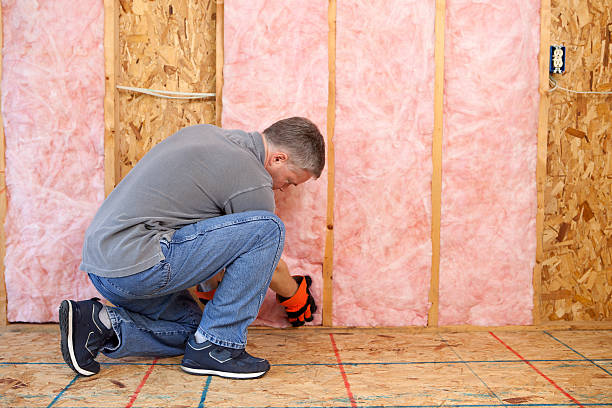 Best Wall Insulation Contractor  in USA