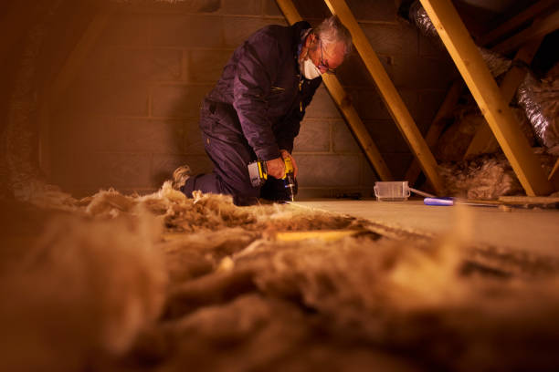 Best Insulation Inspection Services  in USA